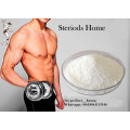 99% High Quality Steroid Powder Stanolone Androstanolone for Bodybuilding